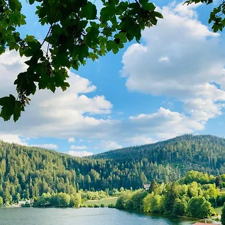 Restaurant Le Au Bord Du Gérardmer