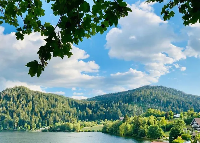 Restaurant Le Au Bord Du Gérardmer