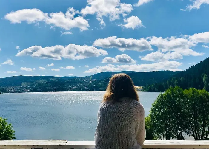 Restaurant Le Au Bord Du Gérardmer